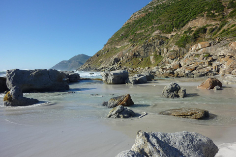 Cidade do Cabo: Excursão particular de 1 dia à Península do Cabo com guia local