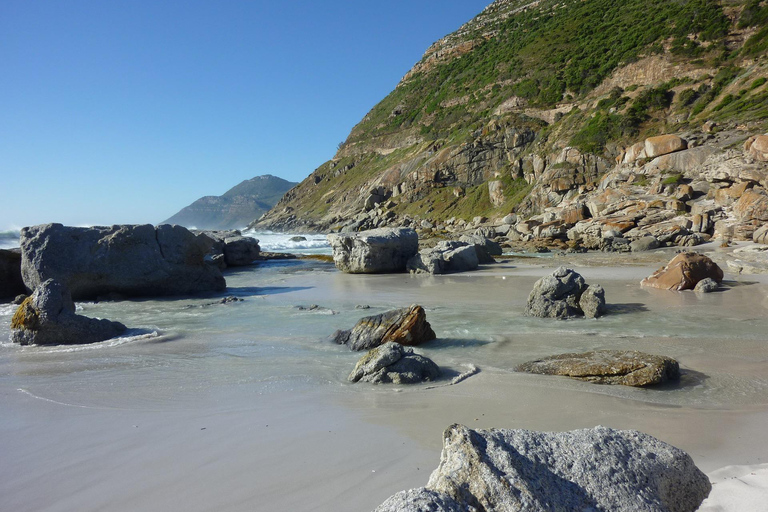 Cidade do Cabo: Excursão particular de 1 dia à Península do Cabo com guia local