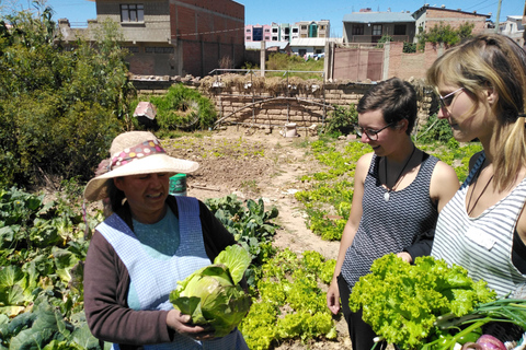Green Life in Sucre: Urban Farming Experience Green Life in Sucre: Urban Agriculture Experience