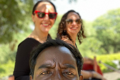 Jaipur: Hathigao Elephant Village Ride, Feeding, & Photos Riding, Feeding, Climbing And Photography with Elephant