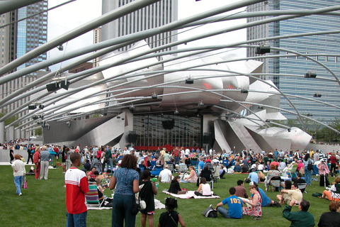 Chicago: Millennium Park Guided Walking Tour