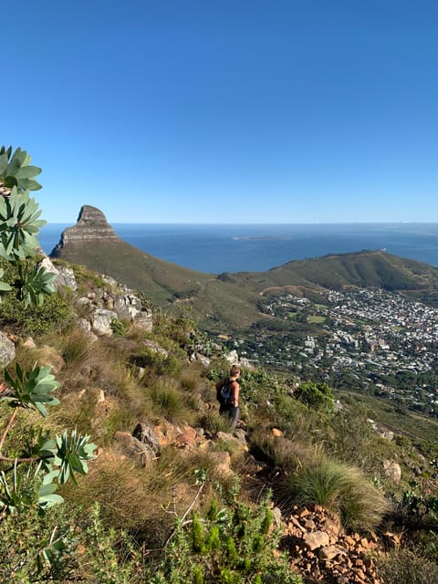 Cape Town Half Day India Venster Hike On Table Mountain Getyourguide