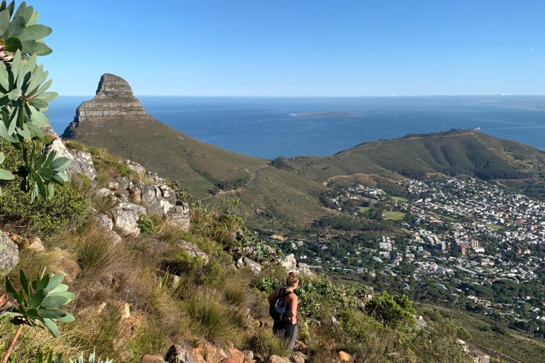 Kaapstad: India Venster-wandeling van een halve dag op de Tafelberg