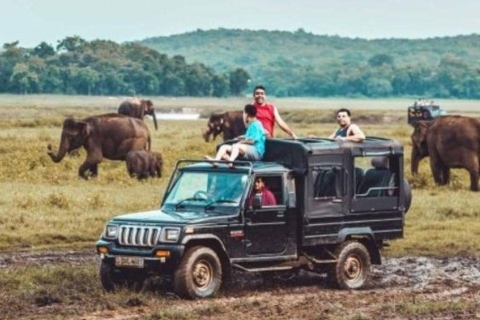 Parc national de Kaudulla : Safari l'après-midi !