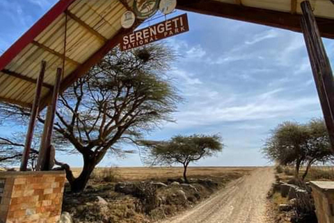 Safári de 5 dias em Tarangire, Serengeti, Ngorongoro e Manyara