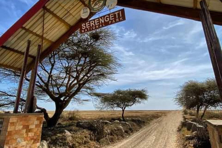 5 daagse safari Tarangire, Serengeti, Ngorongoro &amp; Manyara met gids