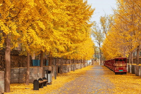 Beijing: Old Summer Palace Ruins Park Admission Ticket