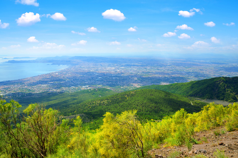 Excursion d'une journée à Pompéi, Herculanum et le Vésuve depuis Naples