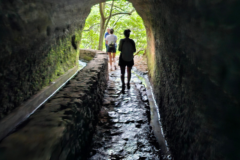 Caldeirão Verde levada By Overland Madeira