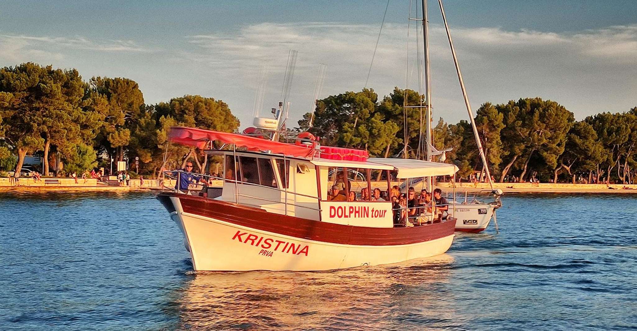 Fazana, Guided Dolphin Watching Sightseeing Cruise at Sunset - Housity