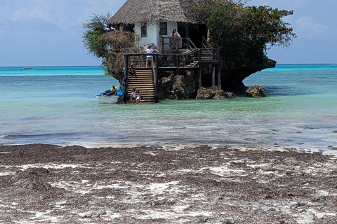 Zanzibar: The Rock, Paje Beach, Jozani Forest & Salaam Cave Prívate tour with No Hotel pick up and drop off.