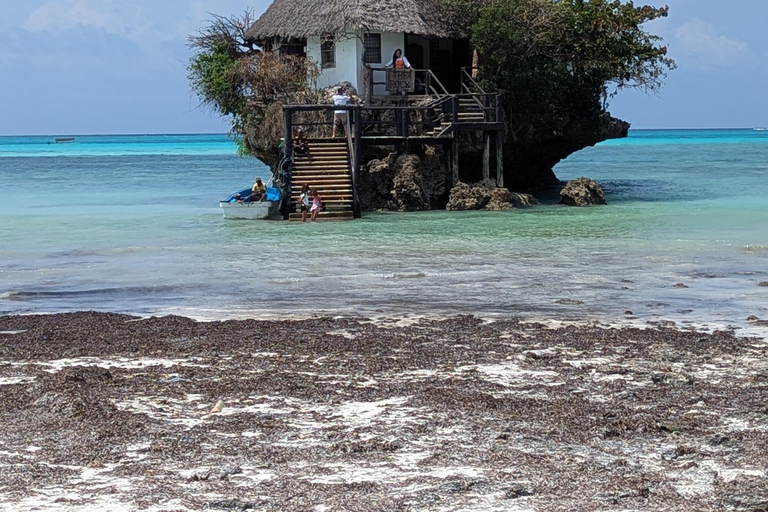 Zanzibar: The Rock, Paje Beach, Jozani Forest & Salaam Cave Prívate tour with No Hotel pick up and drop off.