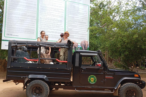 Minneriya: Morning Jeep Safari with Hotel Pickup and Drop-of