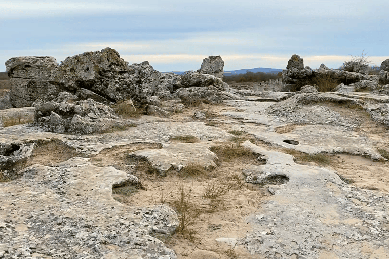 Stone Forest: Bulgaria's Hidden Energy Experience
