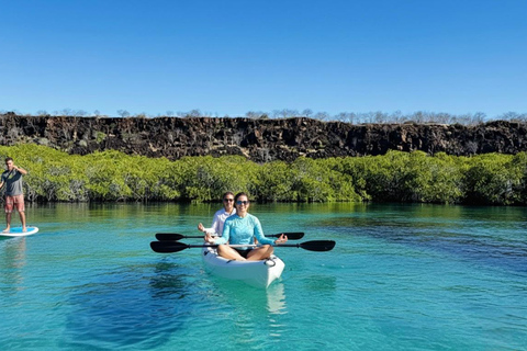 North Santa Cruz - Kayak, SUP, Snorkel and Relax - Galápagos Galapagos Islands: Punta Carrion Kayak - Sup & Snorkel Tour