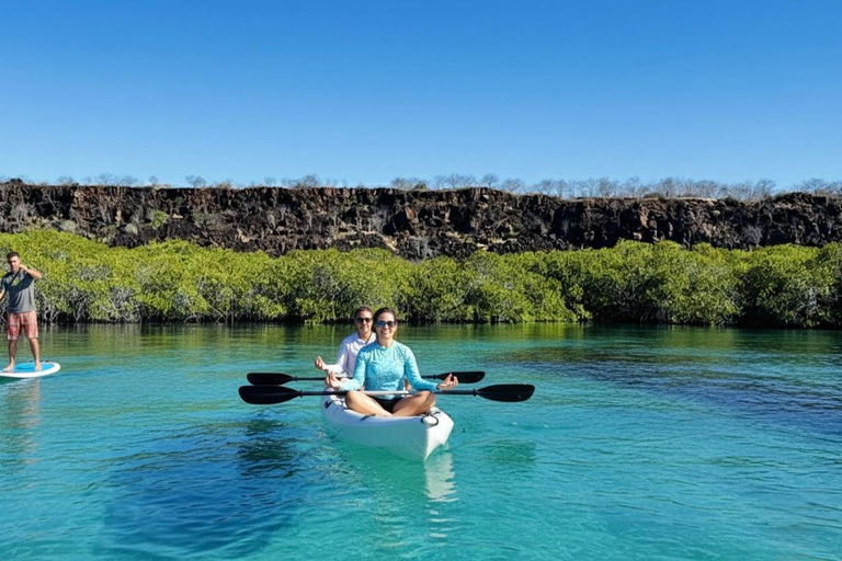 North Santa Cruz - Kayak, SUP, Snorkel and Relax - Galápagos Galapagos Islands: Punta Carrion Kayak - Sup & Snorkel Tour