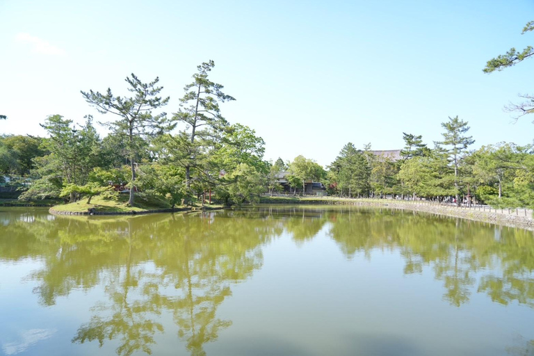 Visite de Nara pour les lève-tôt (départ de la gare de Kyoto)Tour de Nara pour les lève-tôt (option de départ de Kyoto disponible)