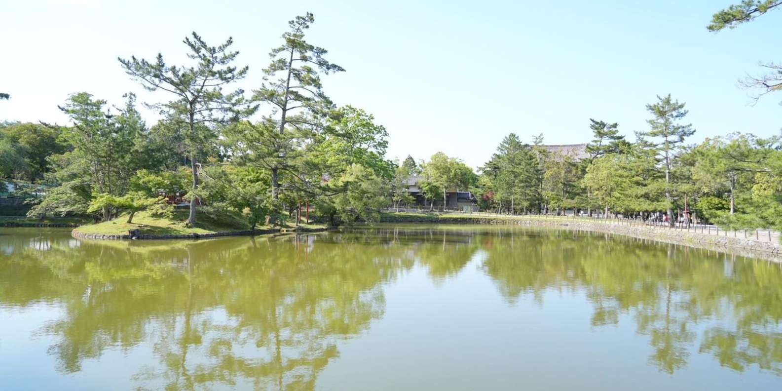 Nara Early Morning Tour (Kyoto or Osaka Departure Available)