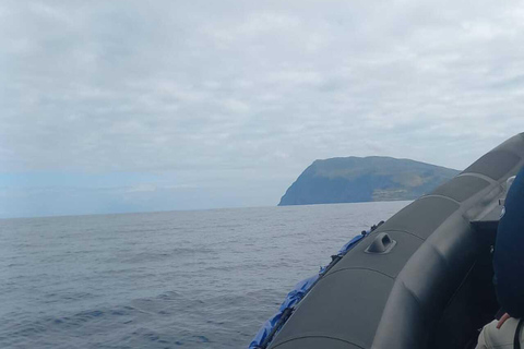 Corvo Island: Full Tour with Boat, Transfers, and Guide Corvo Island: Full Tour with Boat, Transfers, and Guide Included