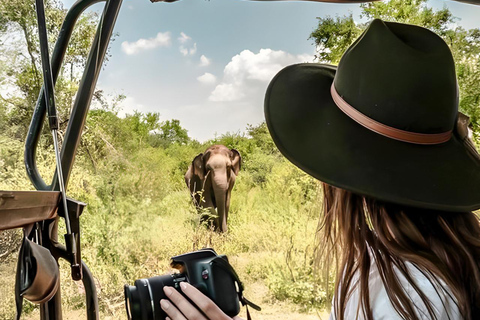 Budget Yala Safari: 1-Night Hostel Stay & Meals Included Full-Day Safari with 1-Night Hostel Stay & Meals