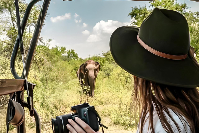 Budget Yala Safari: 1-Night Hostel Stay & Meals Included Full-Day Safari with 1-Night Hostel Stay & Meals