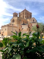 Toro, tour privato con la visita della chiesa Cellegiate - Housity