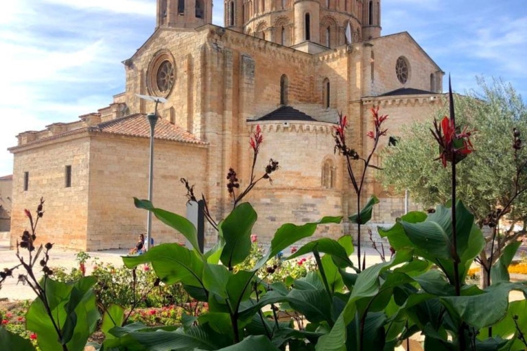 Toro: prywatna wycieczka z wizytą w kościele CellegiateWycieczka w języku hiszpańskim