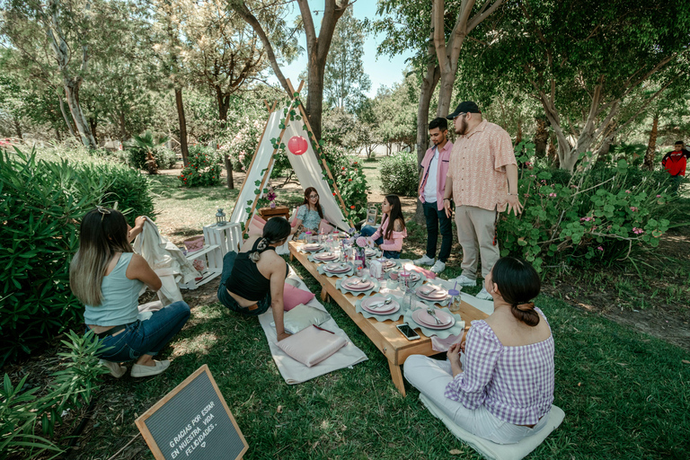 Orlando: Unveil Your Perfect Picnic Experience! Orlando Oasis: Unveil Your Perfect Picnic Experience!