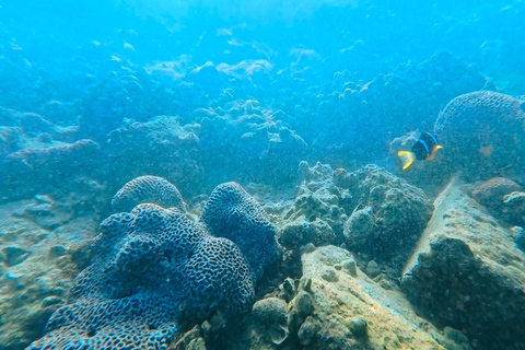 Hong Kong Geopark: Volcano Sightseeing & Hidden Coral Snorkeling Experience (Private) Volcano Sightseeing & Snorkelling Experience