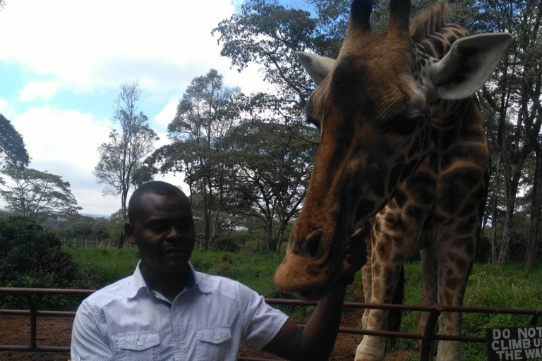 PARQUE DE NAIRÓBI, ORFANATO DE ELEFANTES, EXCURSÃO DE UM DIA AO CENTRO DE GIRAFAS.