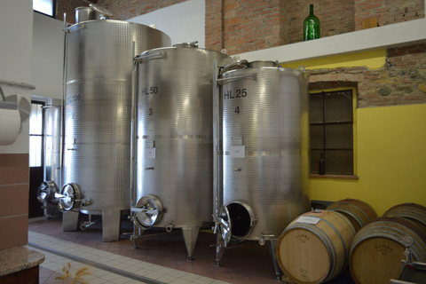 Casalnoceto: Winery Tour with Wine Tasting & Local Food Winery Visit in Alessandria - Italiano