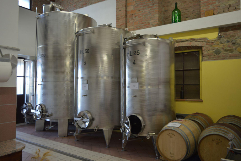 Casalnoceto: Winery Tour with Wine Tasting & Local Food Winery Visit in Alessandria - Italiano