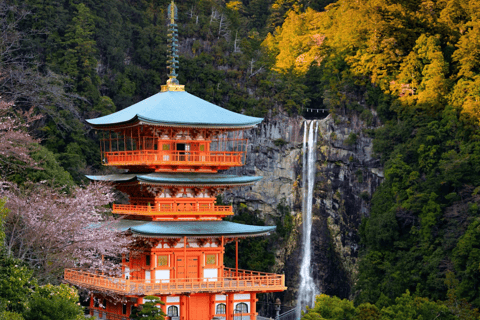 Osaka: Mount Koya and Wakayama Private Day Trip with A Guide Osaka: Mount Koya & Wakayama Private Tour with English Guide