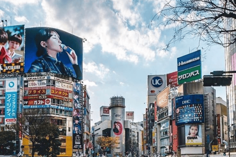 Tokyo Full Day Customizable Private Tour with English Guide