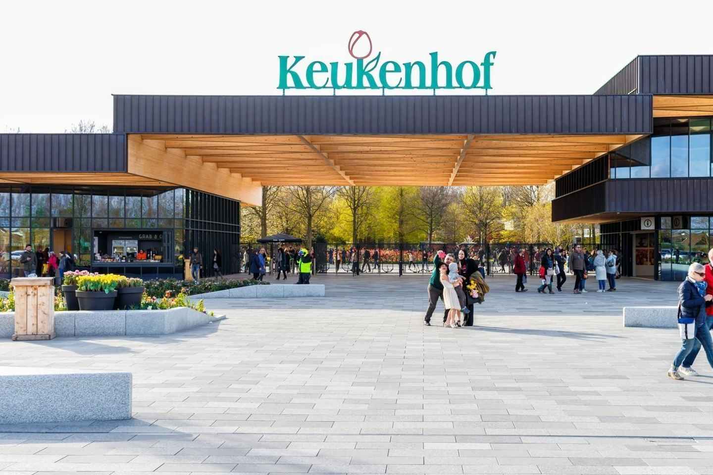 Cruise Terminal Rotterdam: Private Tour by Luxury Van