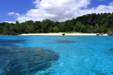 Port Vila: Lelepa Island Day Trip with Snorkeling & BBQ