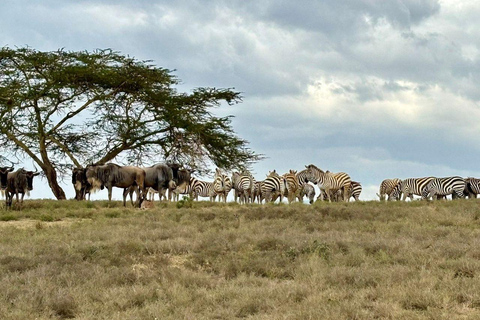 Nairobi: Crescent Island Sanctuary Day Trip with Lunch Nairobi: Crescent Island Sanctuary private day Trip