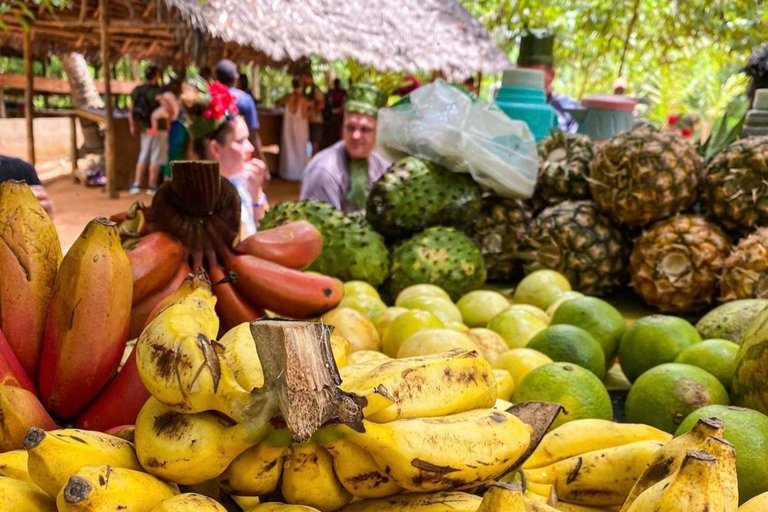 Zanzibar: Jozani-skogen, kryddgård, privat tur i Stenstaden