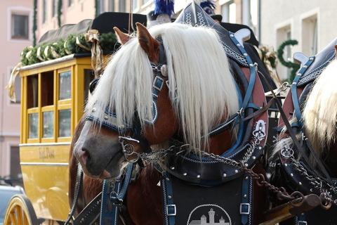 Norimberga: Mercatino di Natale e giro in diligenza della città vecchia