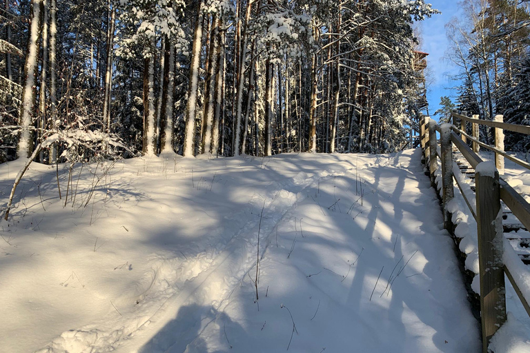 Au départ de Riga : excursion en traîneau à huskies ou en charrette à roulettes