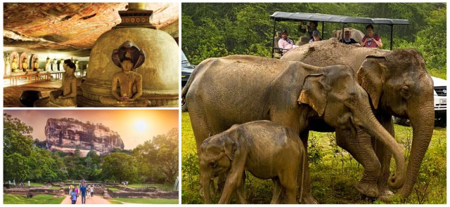 Visit Sri Lanka Western Province Highlights Day Tour and Safari in Sigiriya/Dambulla, Sri Lanka