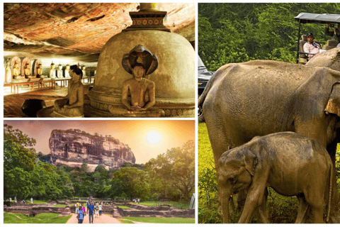 Sri Lanka: Westprovinz Highlights Tagestour und Safari