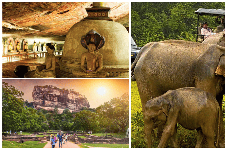 Sri Lanka: hoogtepunten dagtour en safari in de westelijke provincie