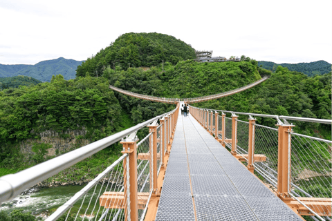 Vanuit Seoul: Dagtrip met gids naar Pocheon