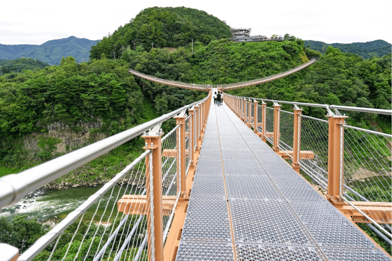 Von Seoul aus: Geführte Tagestour nach Pocheon