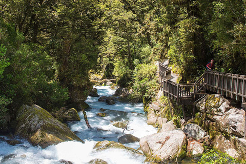Te Anau: Lake Marian Guided Day Hike with Lunch
