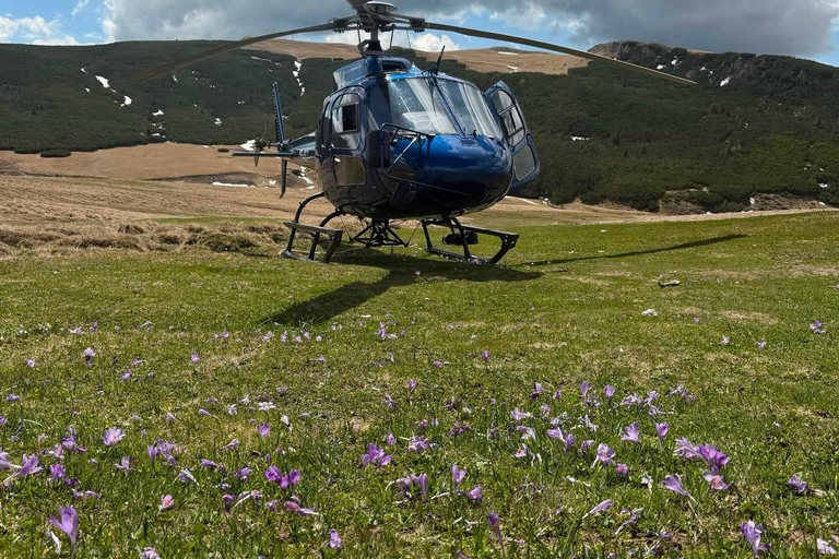 From Bucharest: Heli Hike in the Carpathian Mountains