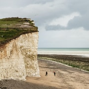 London: South Downs White Cliffs Day Trip With Train Tickets | GetYourGuide