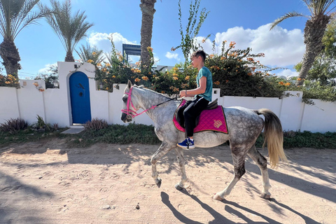 Djerba: Beginner Horse Riding Lesson for Adults and Children.