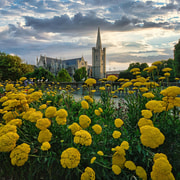 Private Dublin Art Trail: Classic to Contemporary